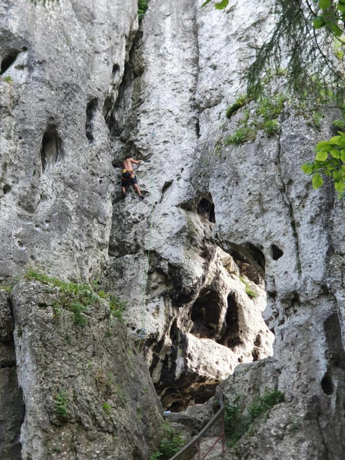 Pokoje Przy Zamku Podzamcze  Extérieur photo