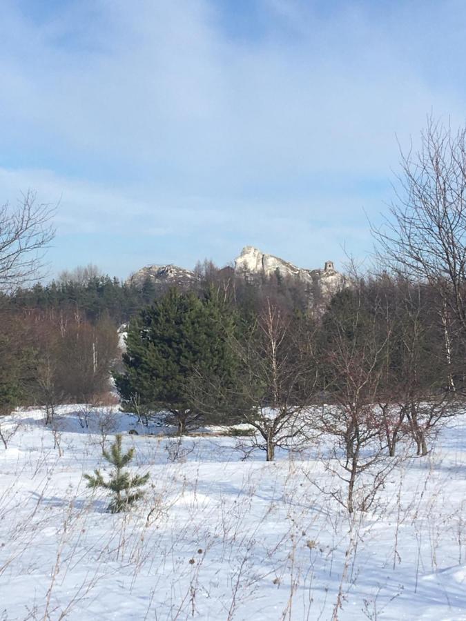 Pokoje Przy Zamku Podzamcze  Extérieur photo