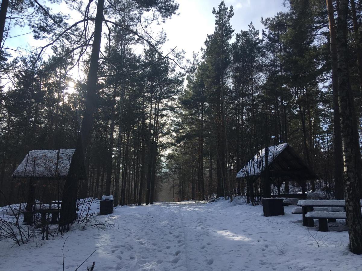Pokoje Przy Zamku Podzamcze  Extérieur photo