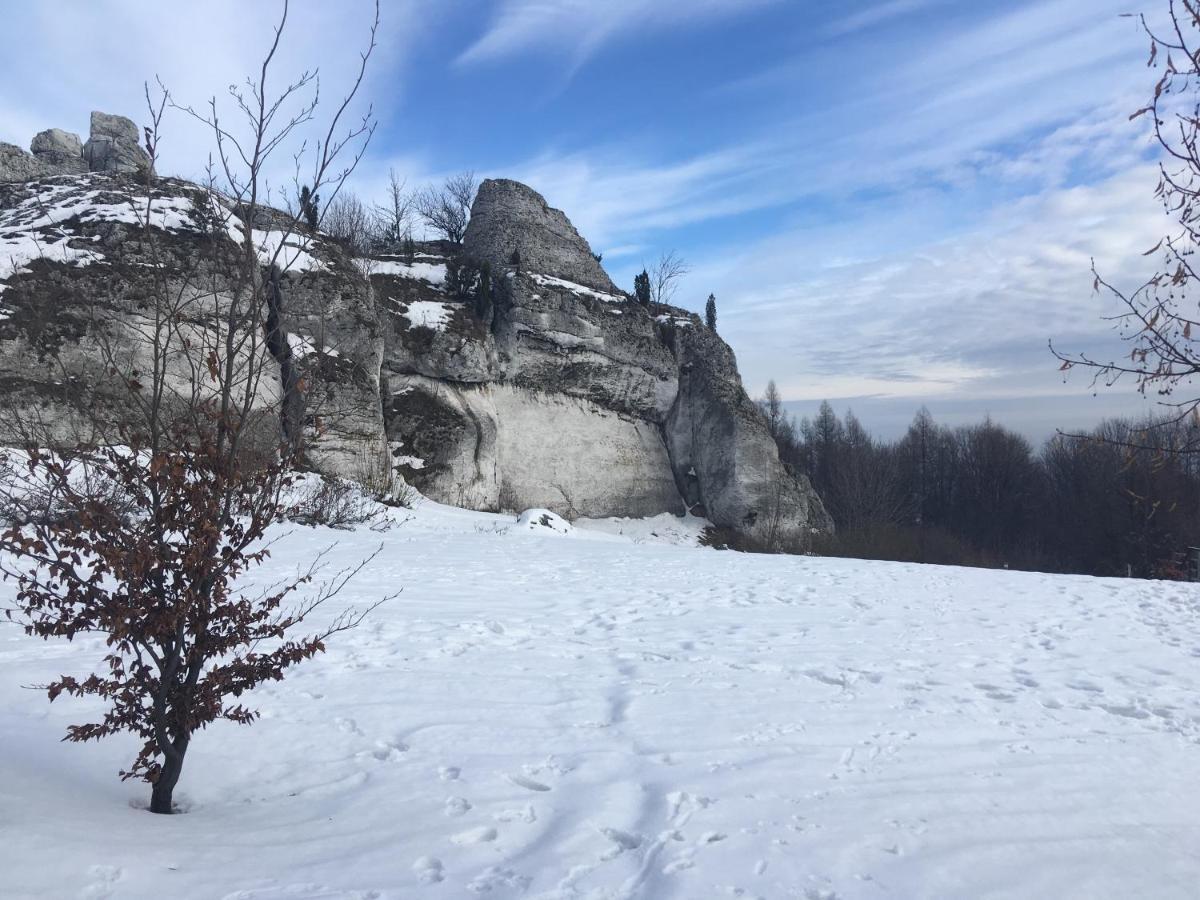 Pokoje Przy Zamku Podzamcze  Extérieur photo