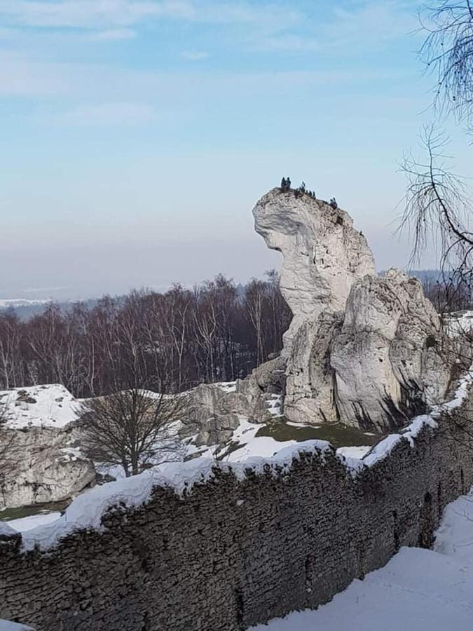 Pokoje Przy Zamku Podzamcze  Extérieur photo