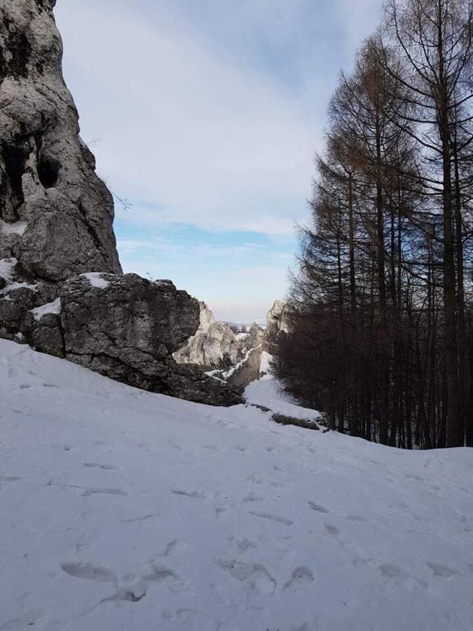 Pokoje Przy Zamku Podzamcze  Extérieur photo